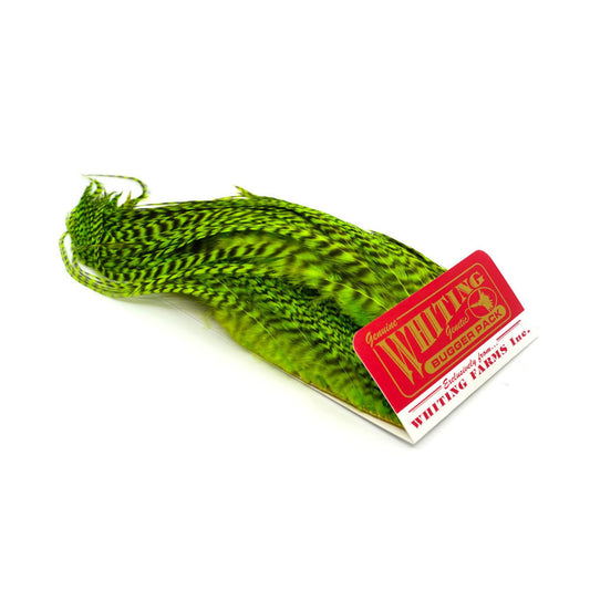 Whiting Bugger pack - Grizzly Dyed FL Green Chartreuse