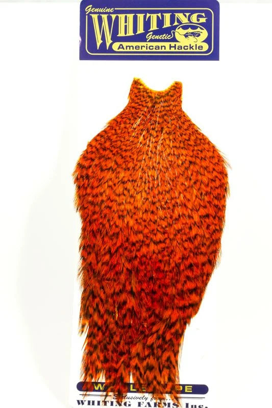 Whiting American Hen Cape - Grizzly Dyed Orange