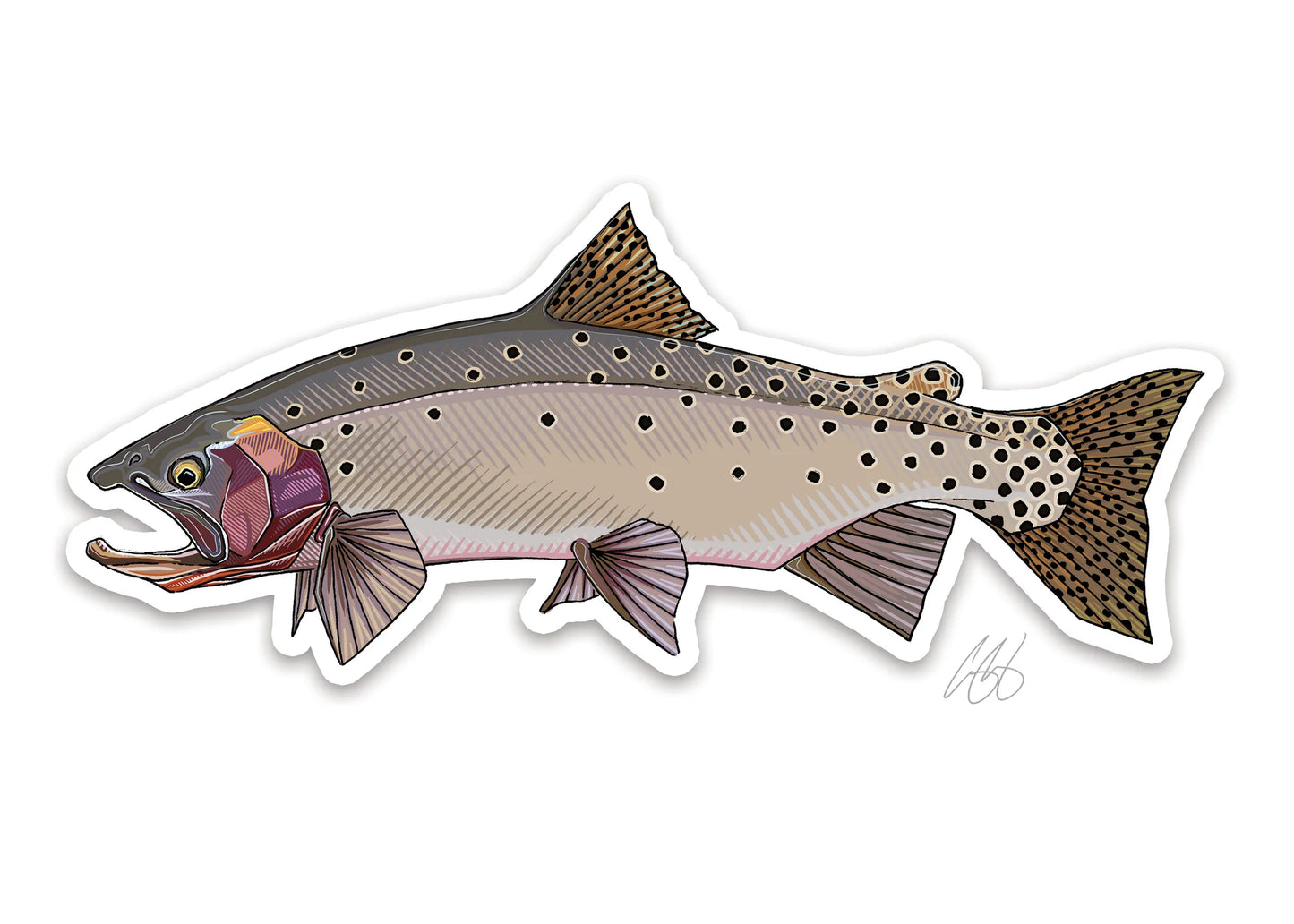 Bonneville Cutthroat Decal