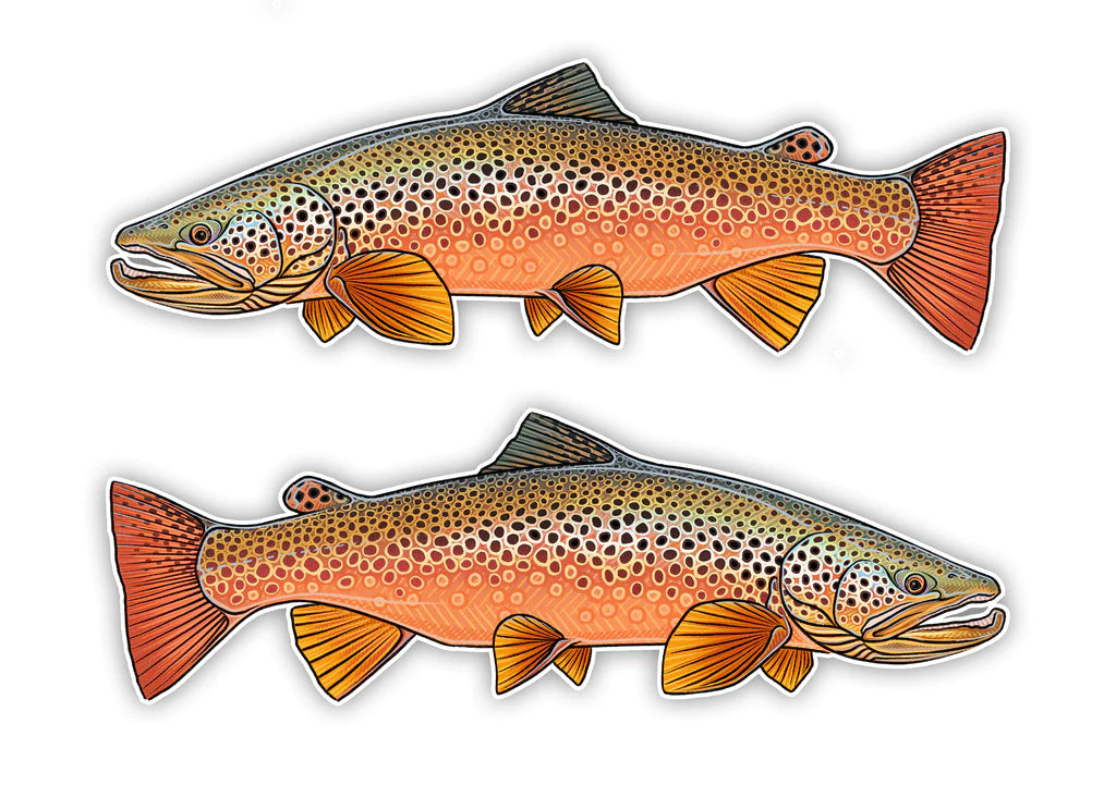 Oversized Fish Decals - Spawning Brown Trout