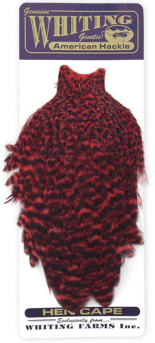 Whiting American Hen Cape - Grizzly Dyed Red