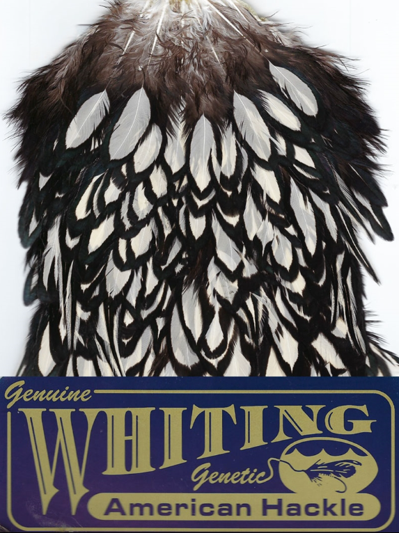 Whiting American Hen Saddle - Black Laced White Dyed -