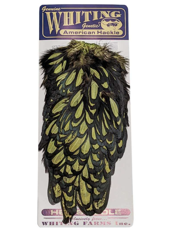 Whiting American Hen Saddle - Black Laced White Dyed -