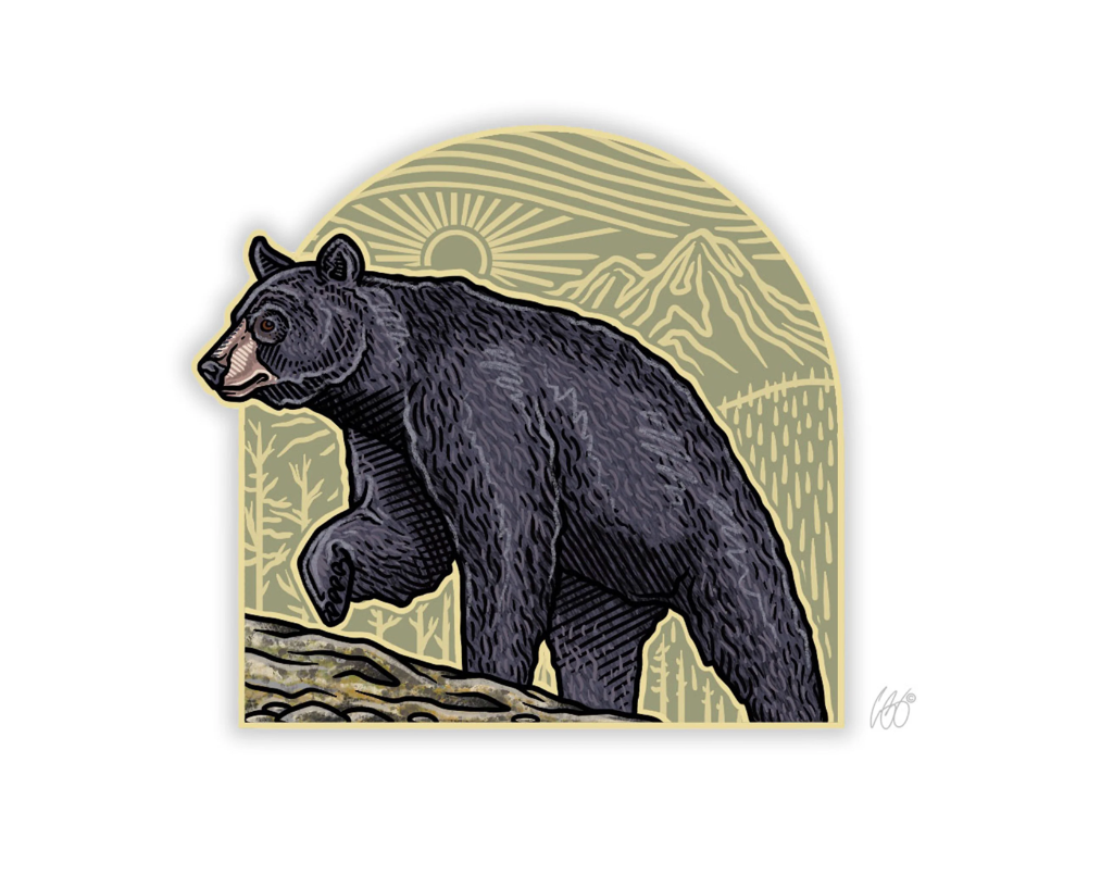 Black Bear Arch Decal