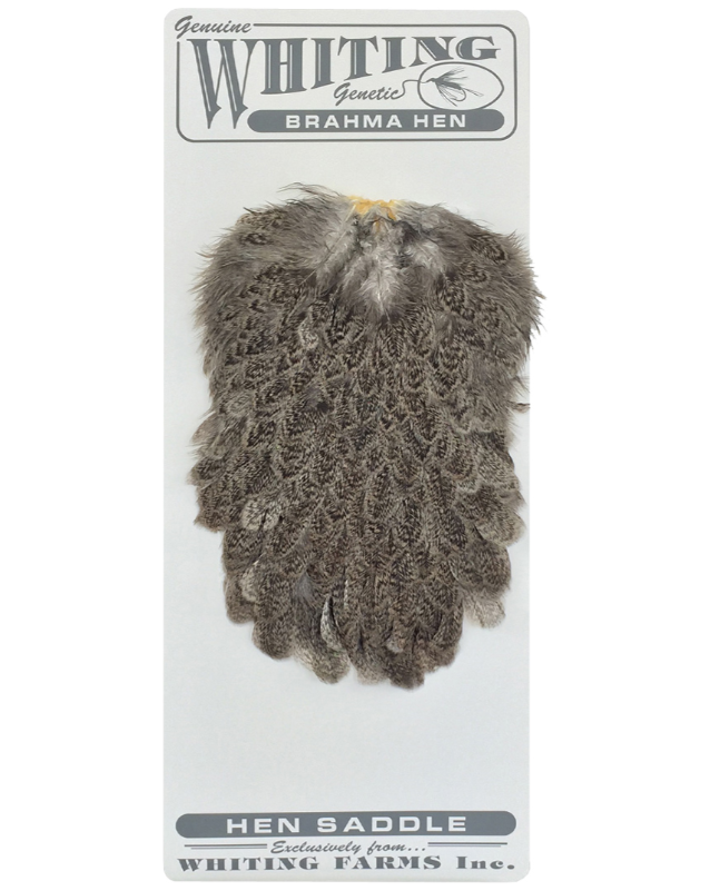 Brahma Hen Saddle