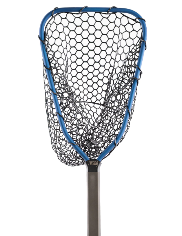 Rising Brookie Net