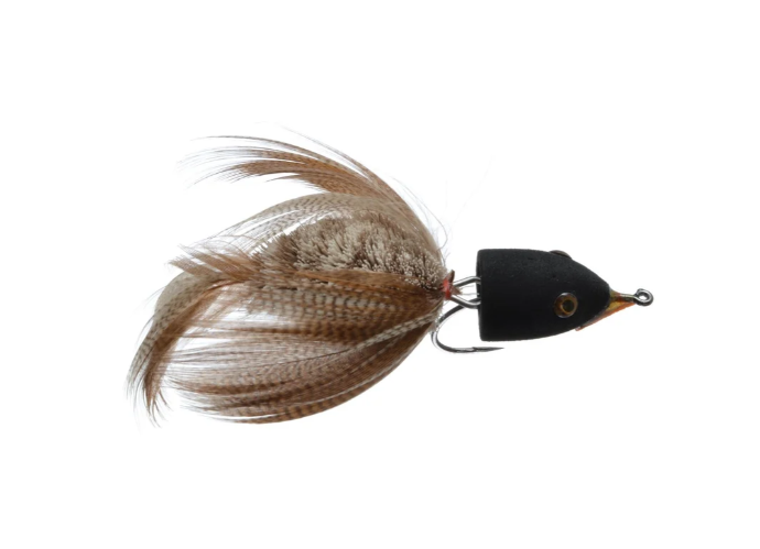 Mason's Baby Swallow Fly