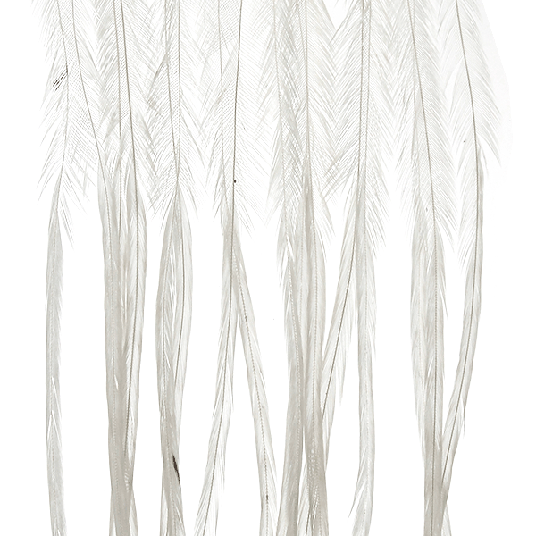 Whiting 100 Packs