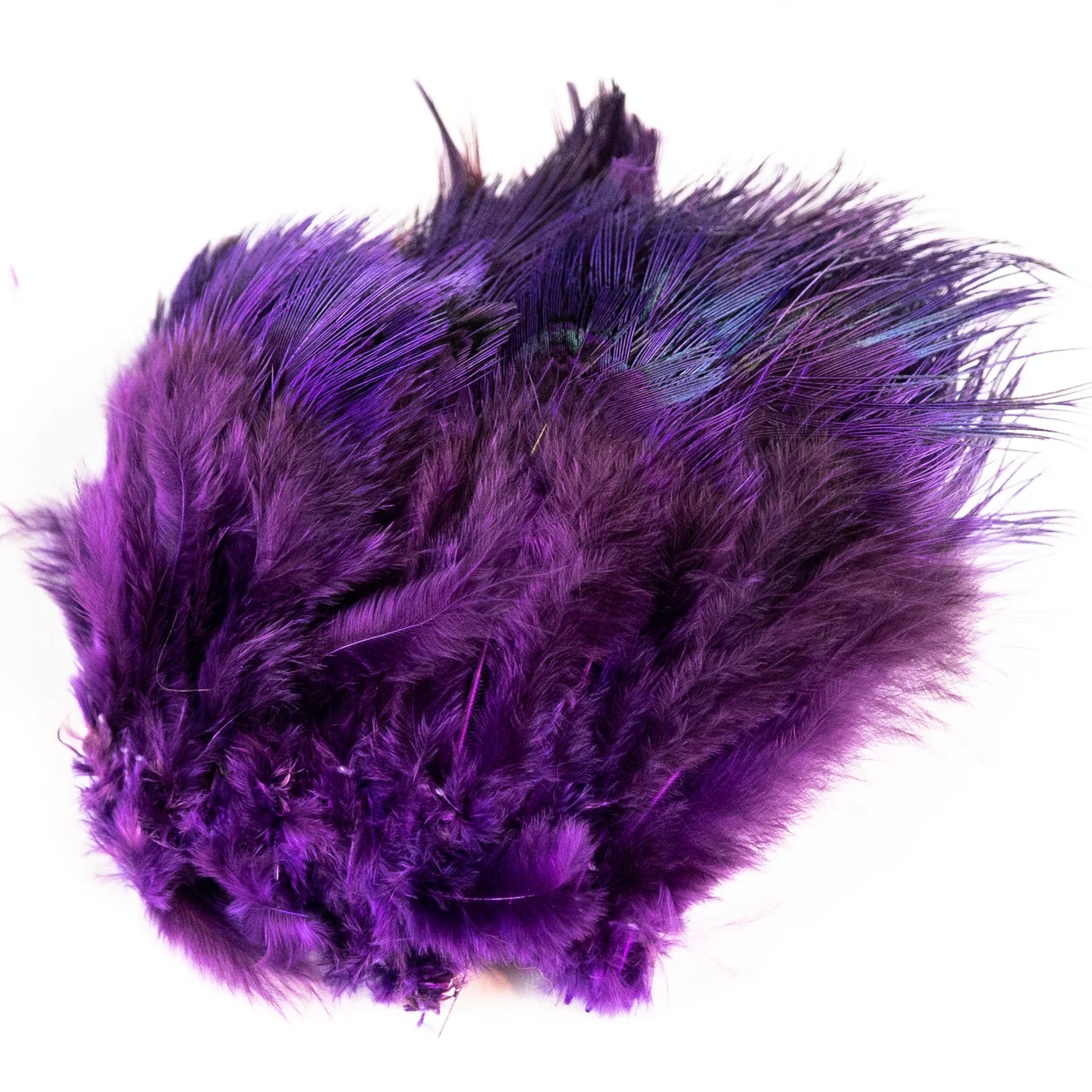 Ringneck Rump Hackle