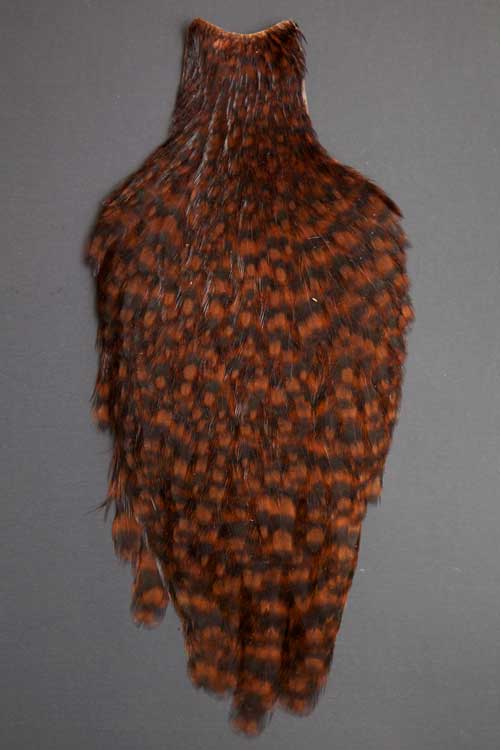 Whiting Bronze Midge 1/2 Saddle - Brown