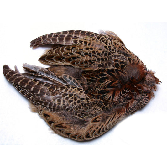 Ringneck Pheasant Skin - Natural Hen