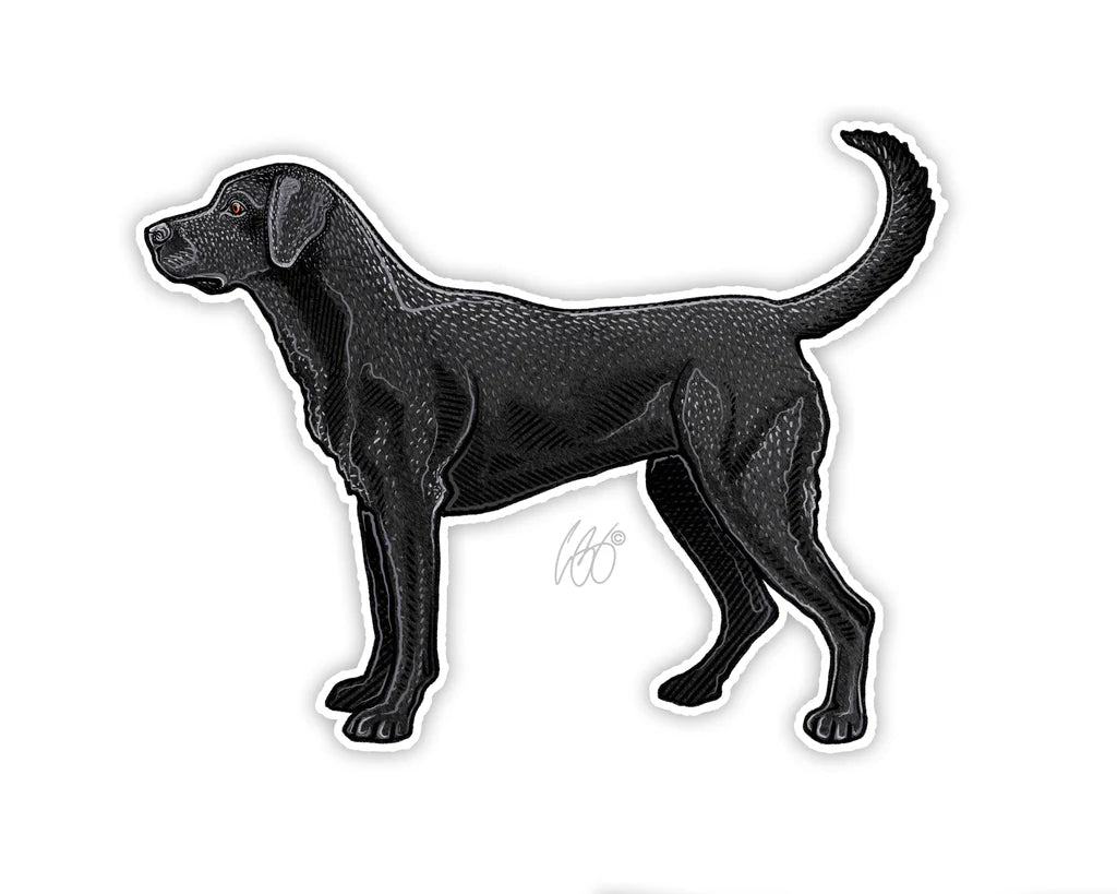 Black Lab Decal