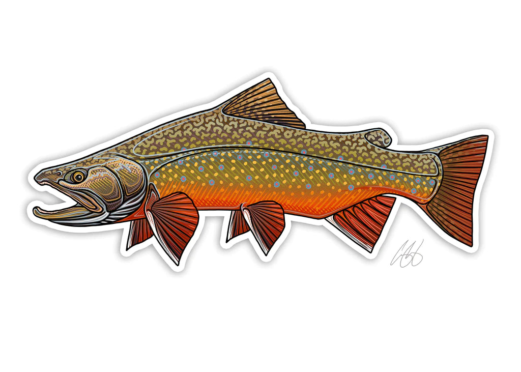 Brook Trout