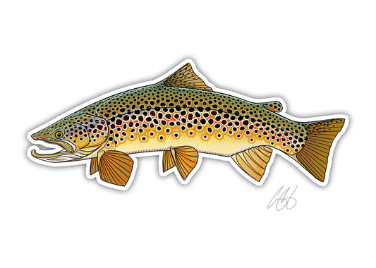 Brown Trout Decal