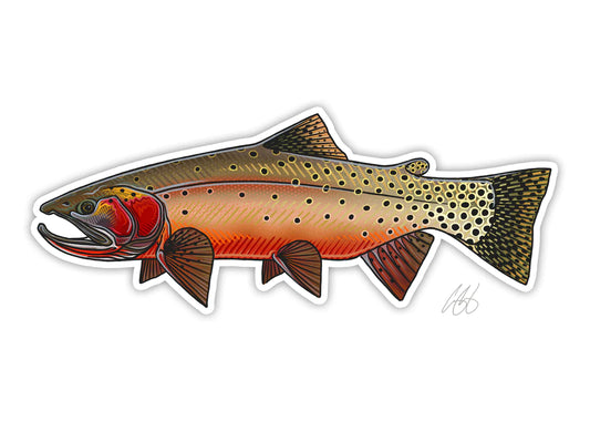Greenback Cutthroat