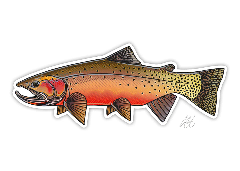 Westslope Cutthroat Decal