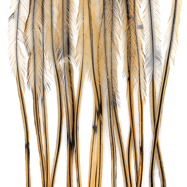 Whiting 100 Packs