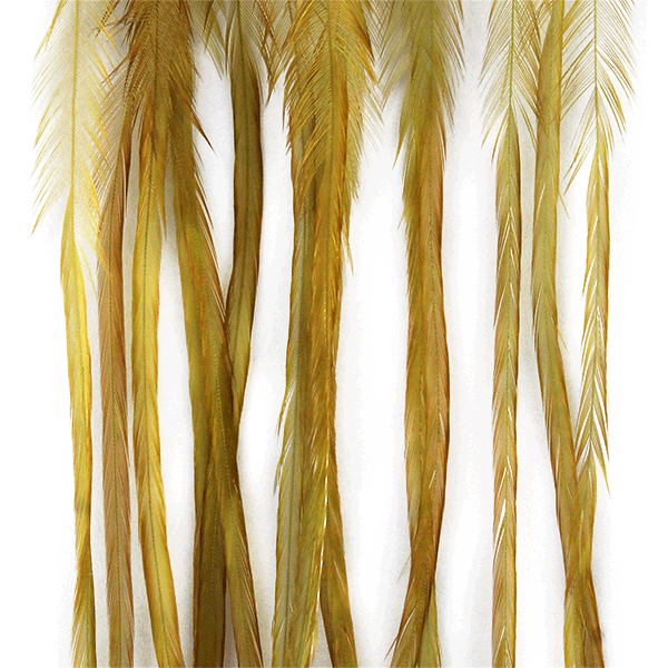 Whiting 100 Packs