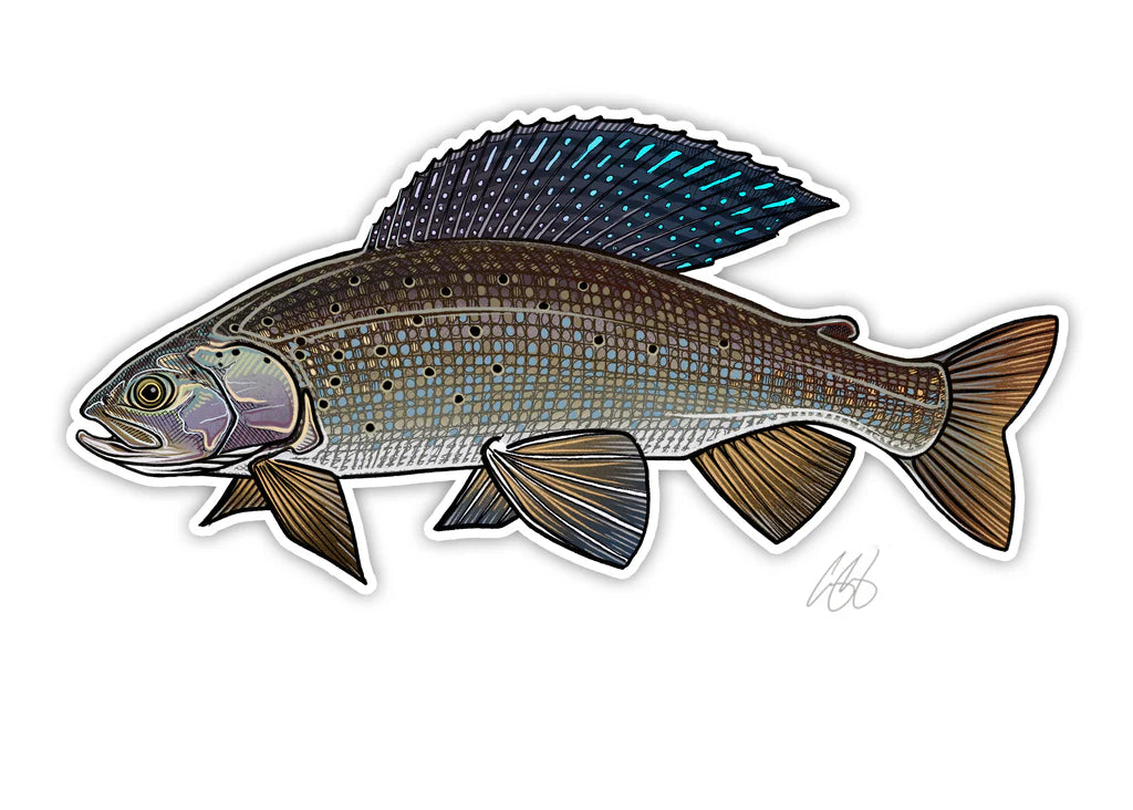 Grayling Decal