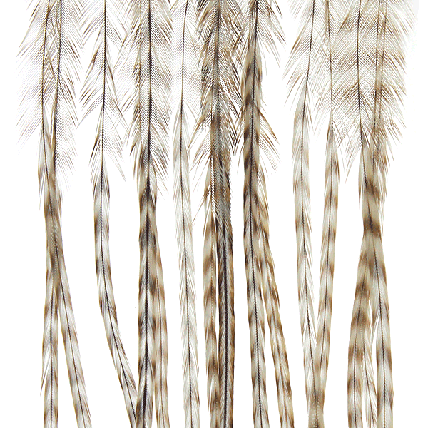 Whiting 100 Packs