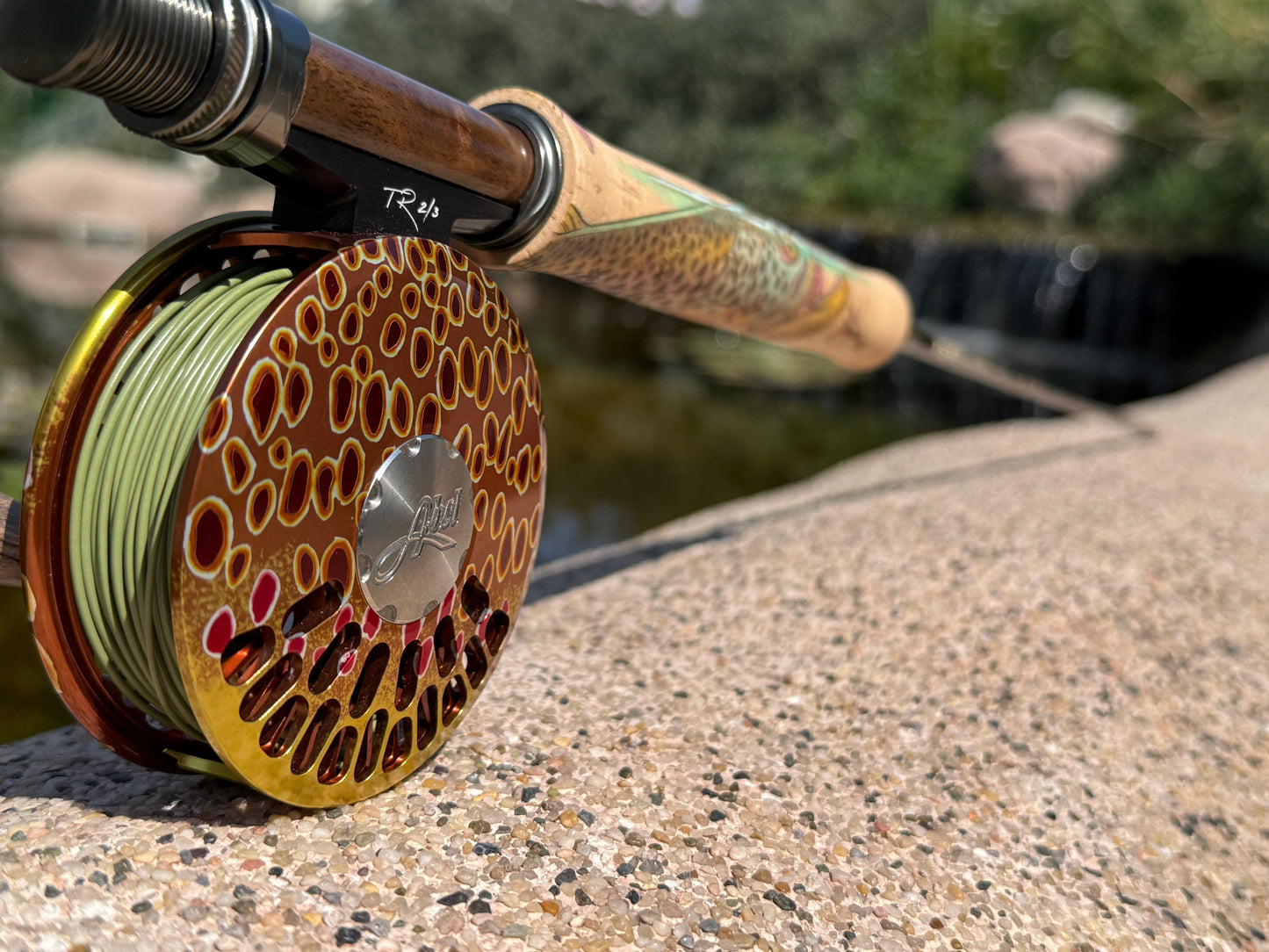Sage Classic R8 W/ Full Color Brown Trout
