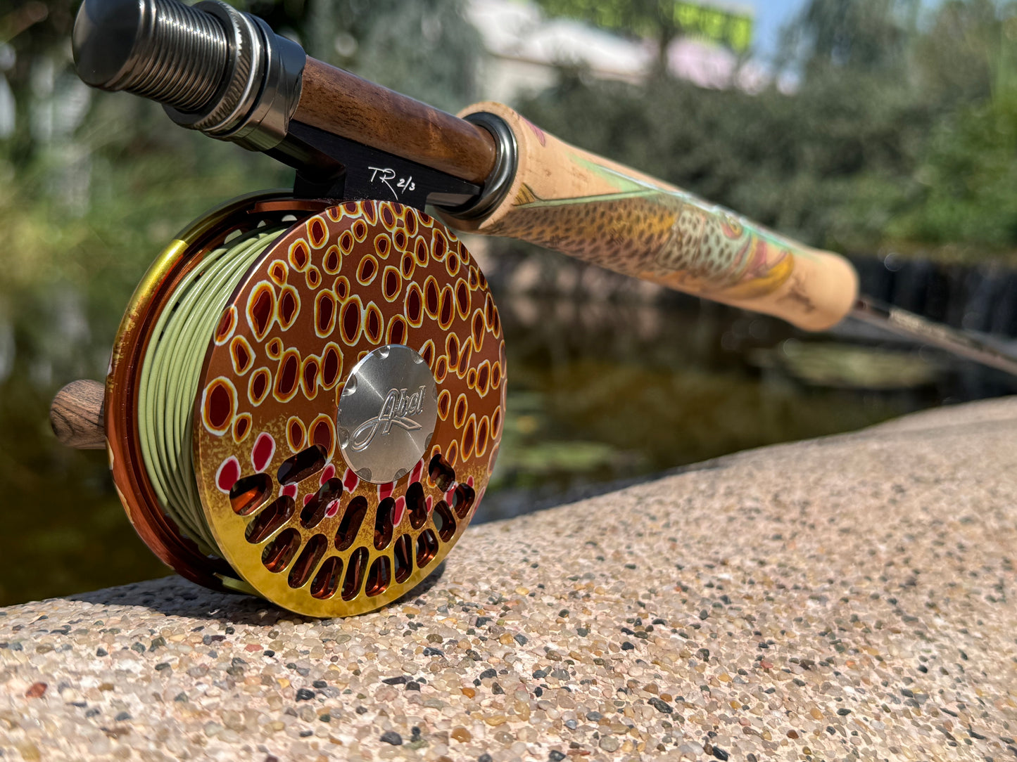 Sage Classic R8 W/ Full Color Brown Trout