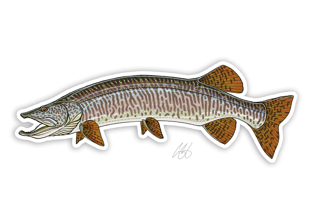 Muskie Decal