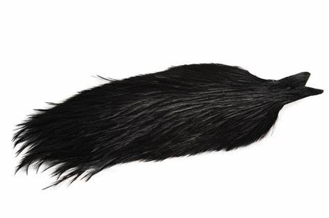 Whiting Coq De Leon Cape - Black