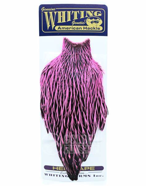 Whiting American Hen Cape BLW - Purple