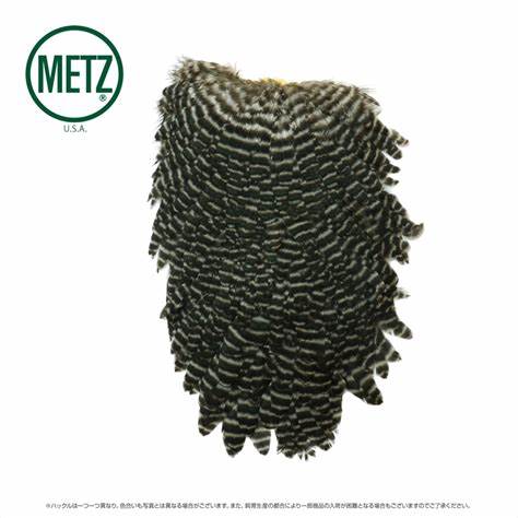 METZ HEN SADDLE #1