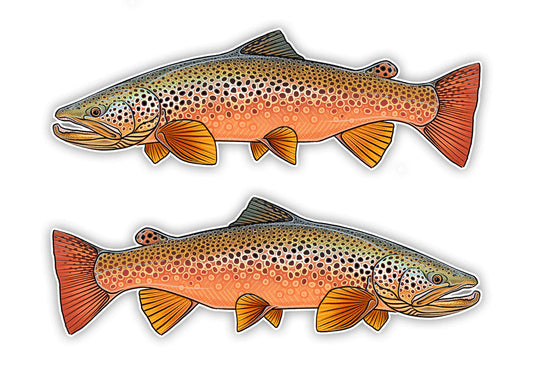 Oversized Fish Decals - Spawning Brown Trout