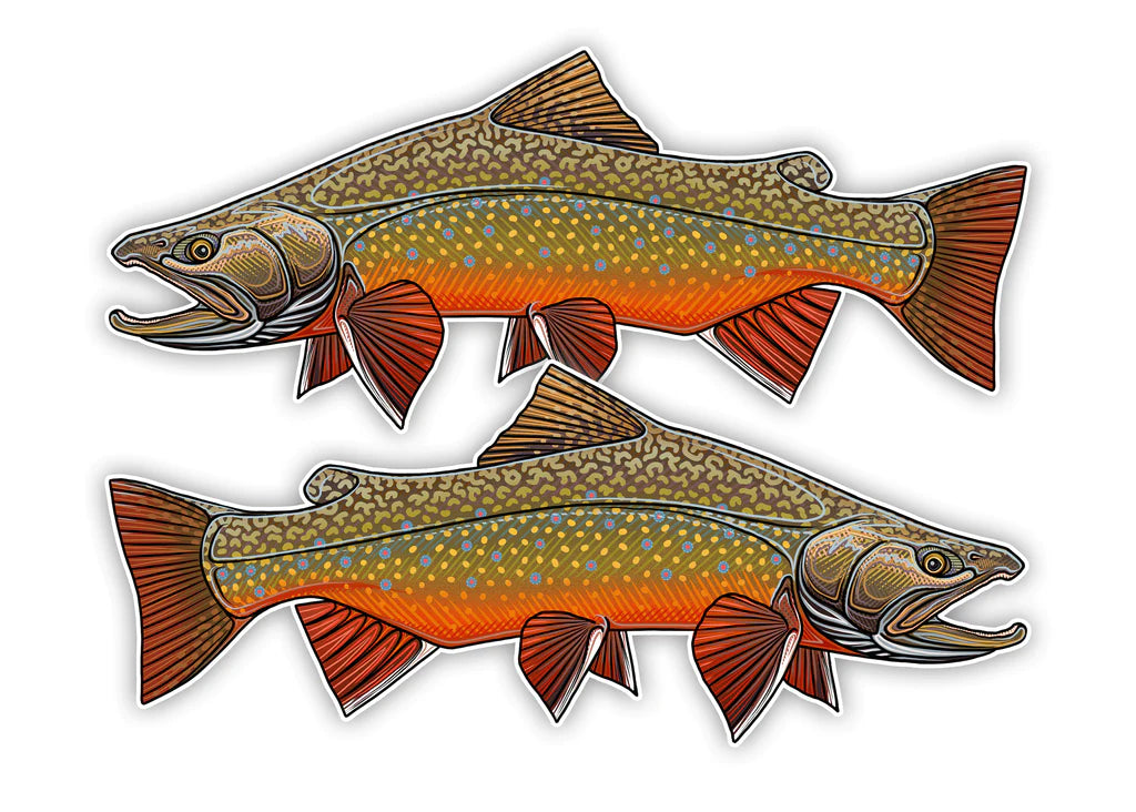 Oversized Fish Decals - Brook Trout Decal