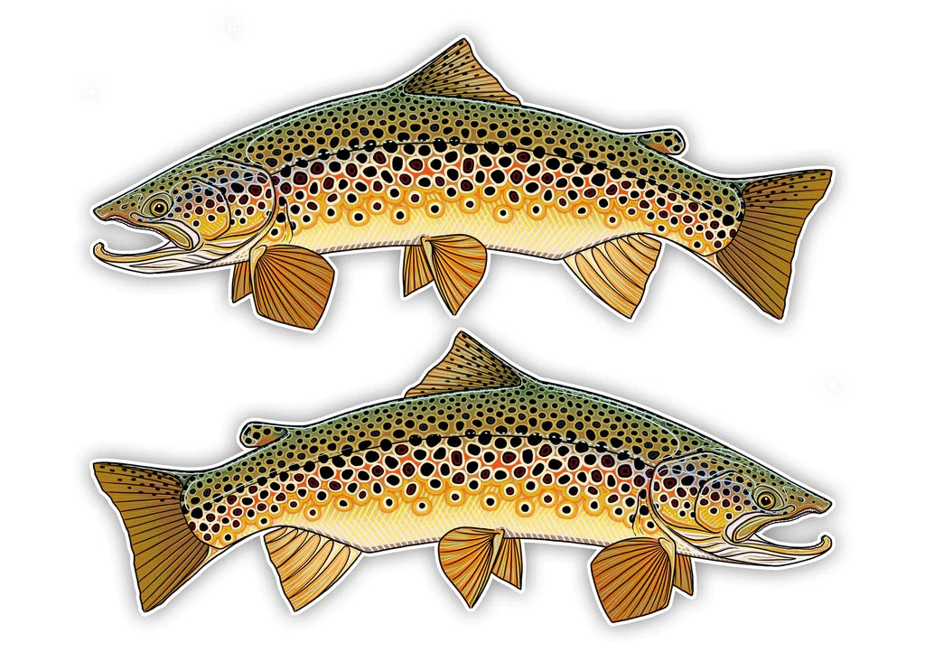 Oversized Fish Decals - Brown Trout Right Facing