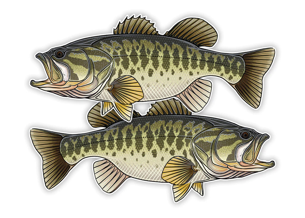 Oversized Fish Decals - USA Bass Decal Right facing