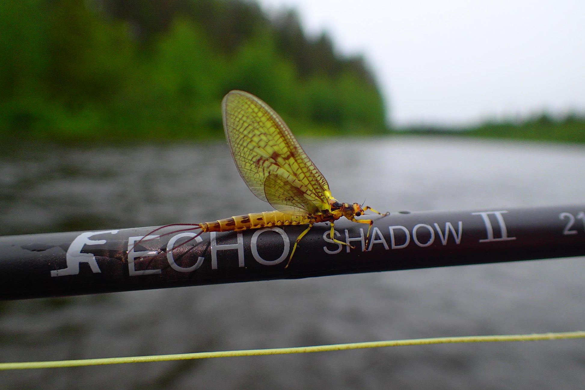 Echo Shadow II Fly Rod – Los Pinos Fly Shop