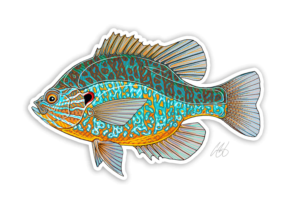 Pumpkinseed Decal