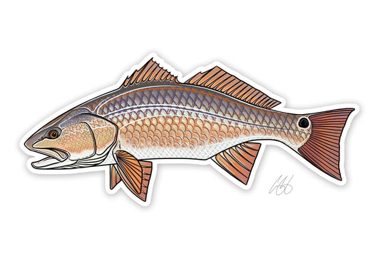 Redfish Decal