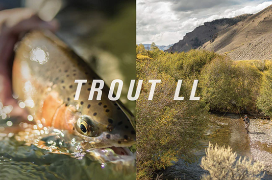 Sage Trout LL Blank with Spare Tip Section