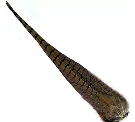 Ringneck Tail Clumps