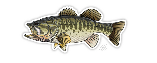 Largemouth Bass Decal