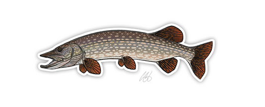 Northern Pike Decal