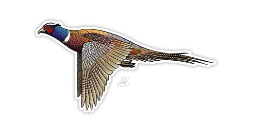 Ringneck Pheasant Decal