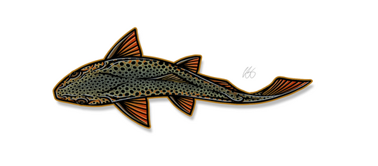 Swimming Brown Decal