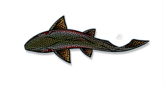 Swimming Rainbow Decal