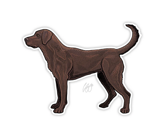 Chocolate Lab Decal
