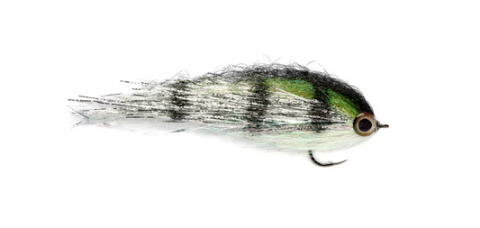 Clydesdale Silver Perch