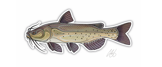 Catfish Decal