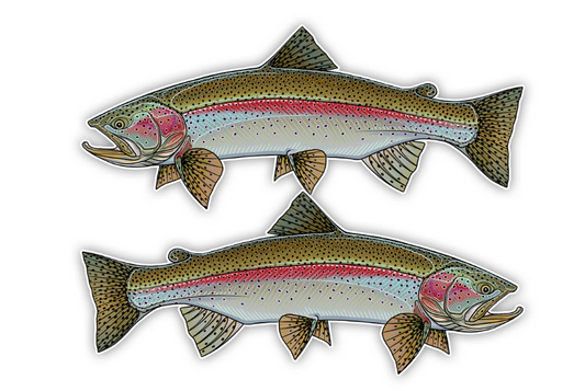 Oversized Fish Decals - Rainbow Trout Right Facing