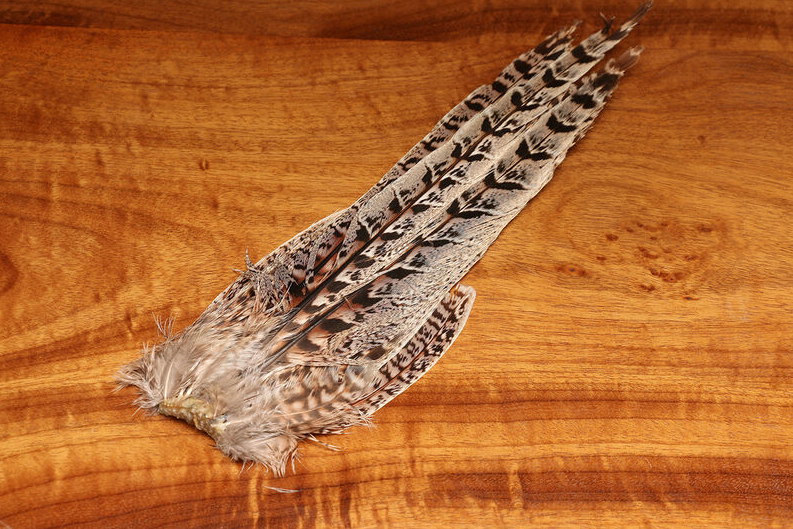 Ringneck Hen Pheasant Tail Clump