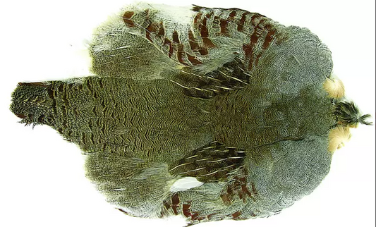 Hungarian Partridge Whole Skin